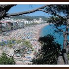 VENTANA NATURAL, AL MAR.