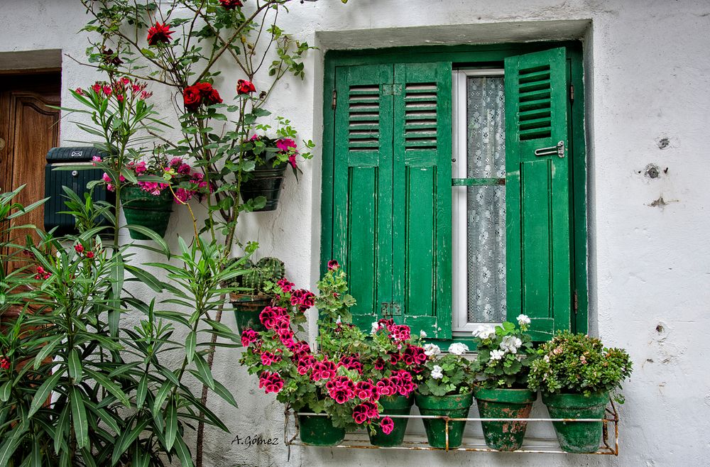 Ventana verde