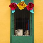 Ventana y rosas