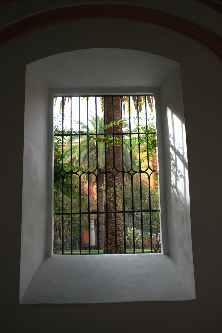 ventanal con reja al jardín