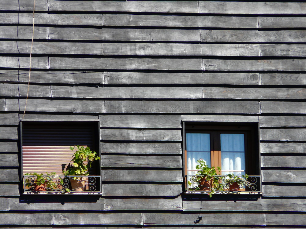 Ventanas