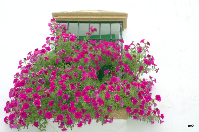 ventanas de mi pueblo