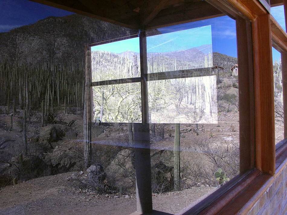 Ventanas en el desierto