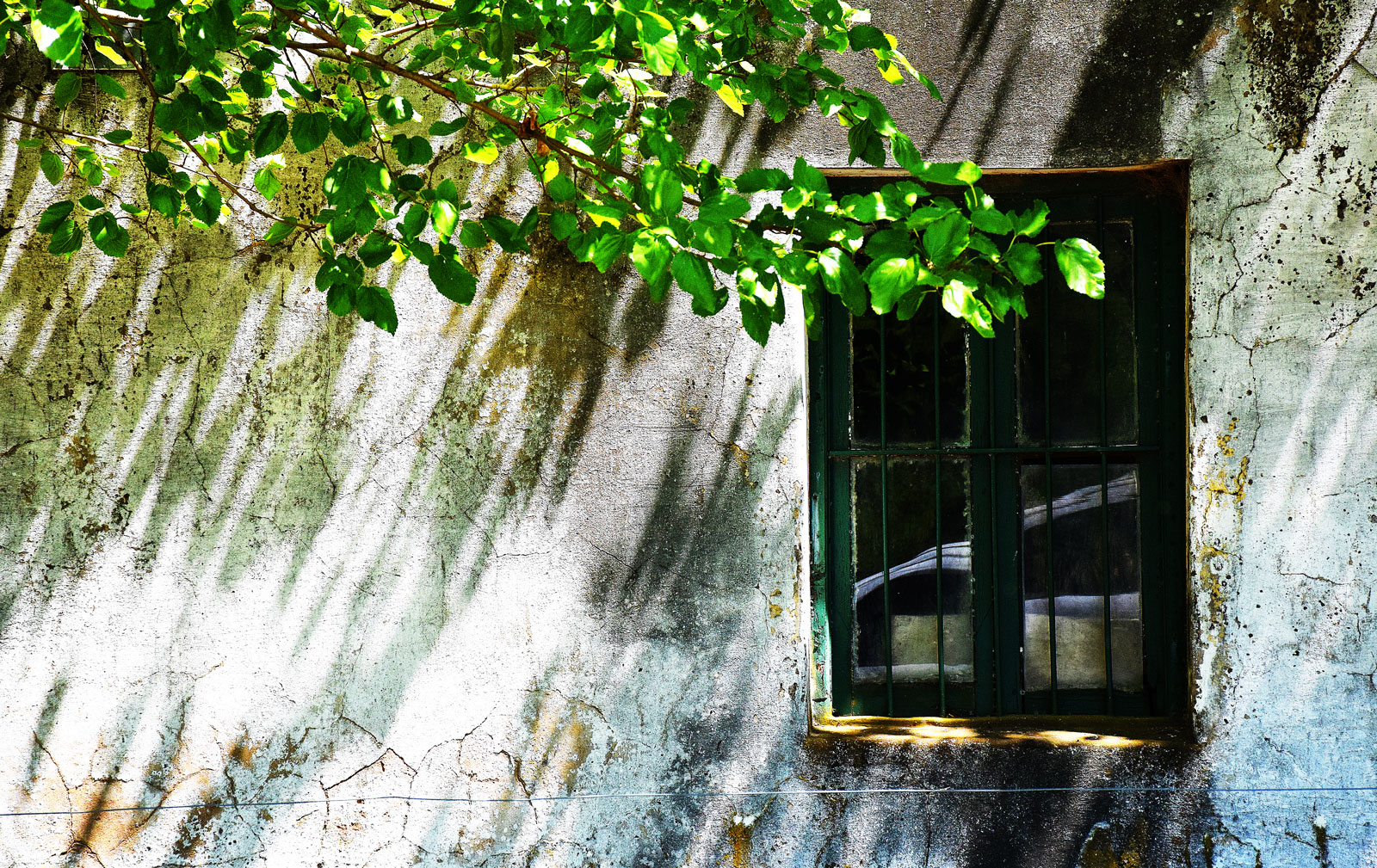 Ventanas y balcones. LXXI.