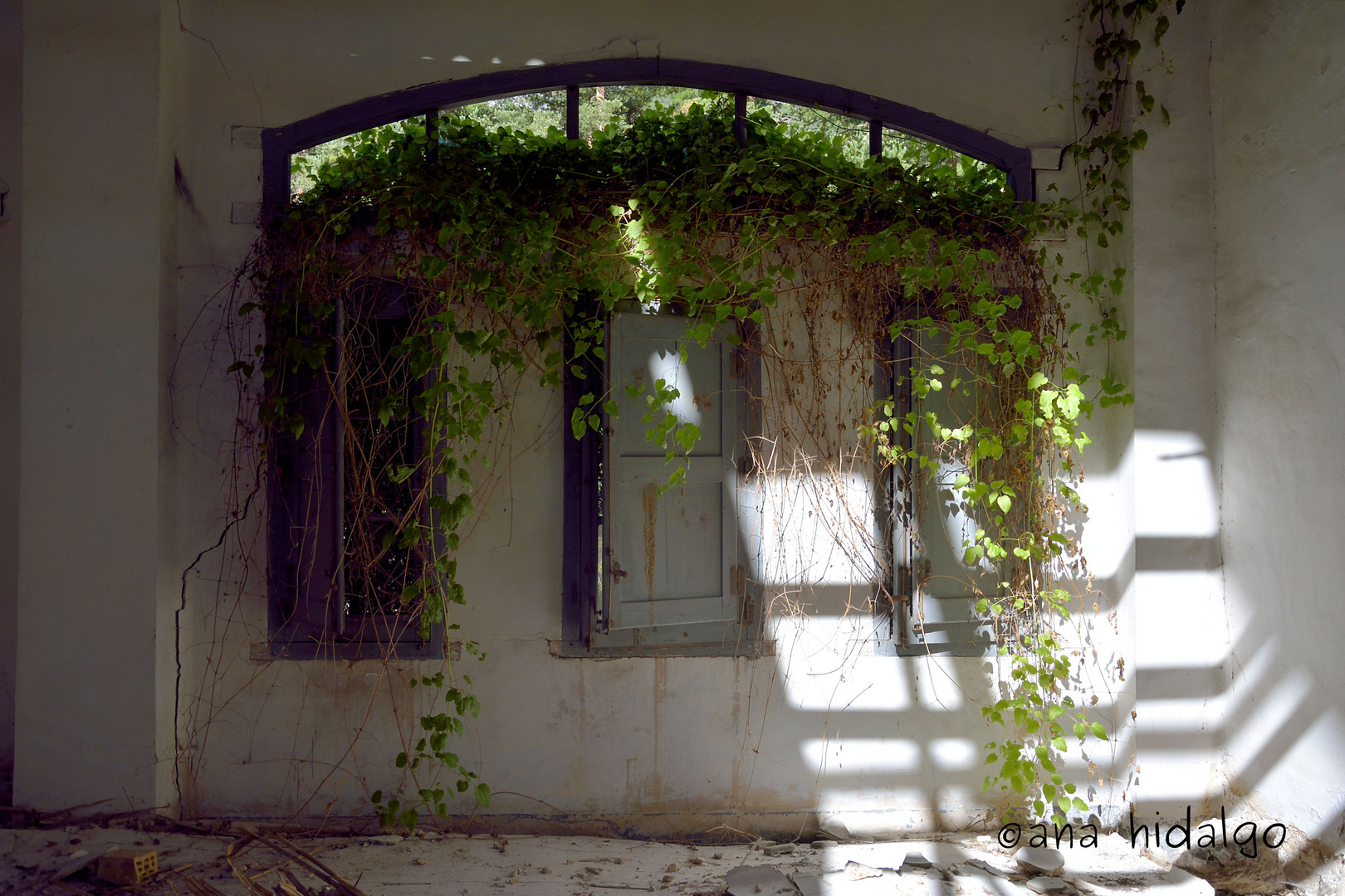 VENTANAS Y LUCES