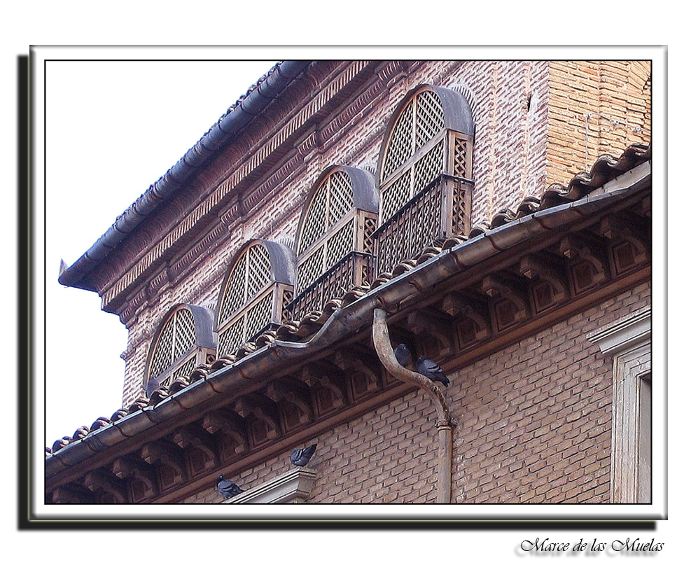 Ventanas y palomas