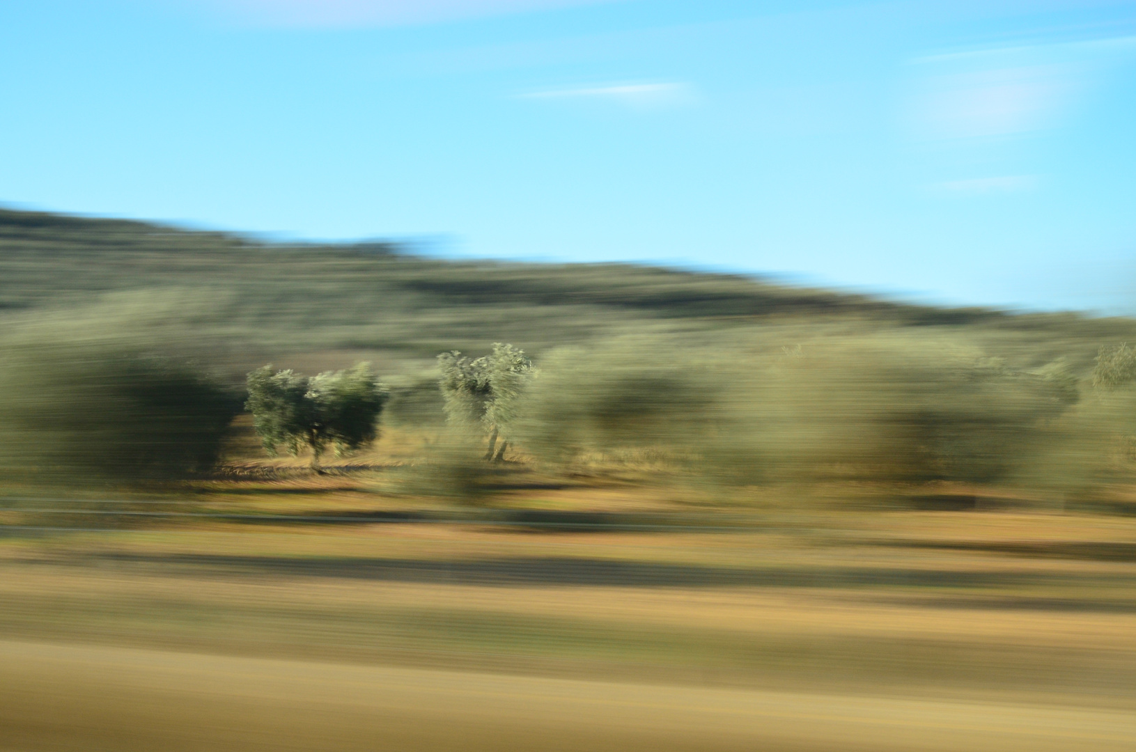 Ventaneando desde el tren ....