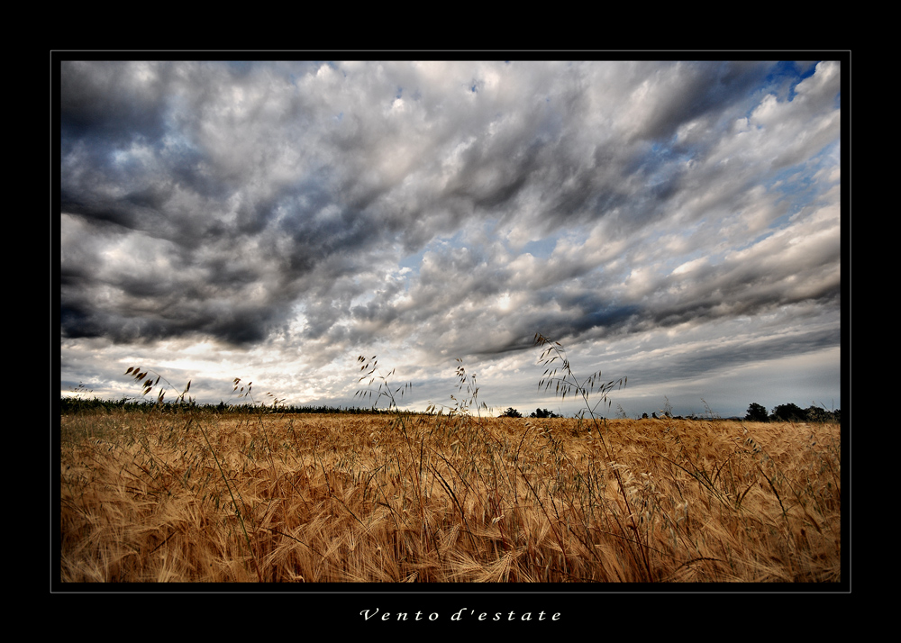 Vento d'estate