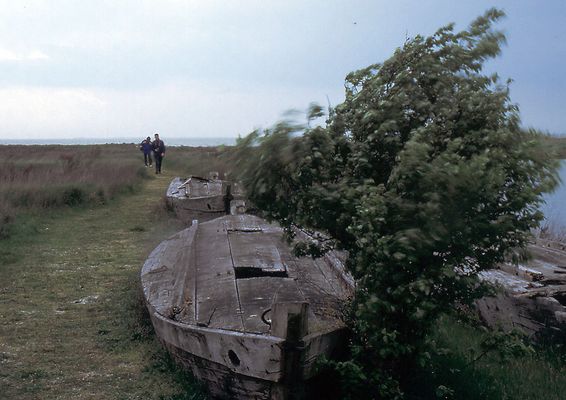 Vento sul delta del Po