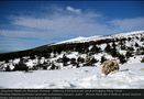 Ventoux von Denis Heirendt 