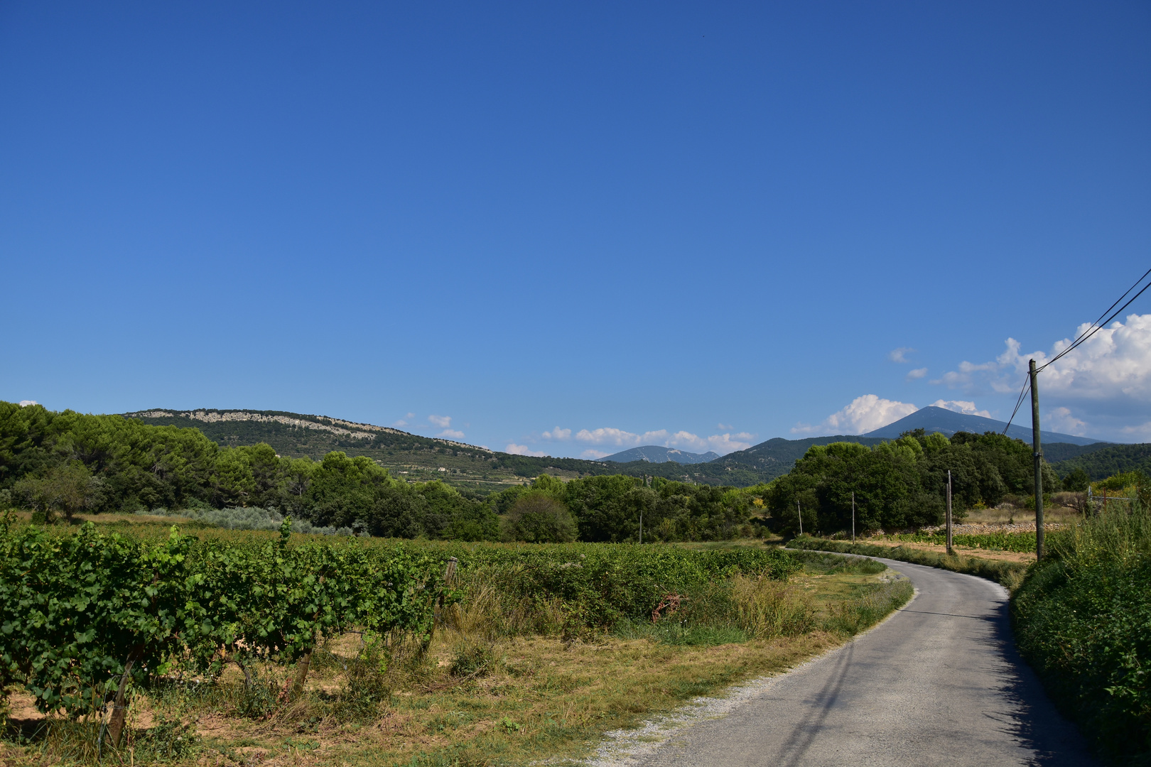 Ventoux et garrigue