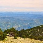 Ventoux