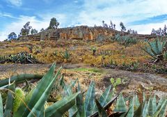 Ventranas de Otuzco