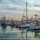 Ventura Harbor,