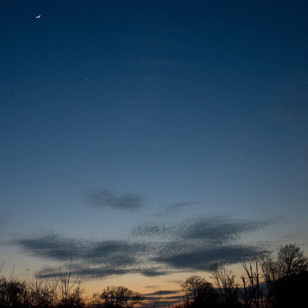 Venus a rendez-vous avec la Lune