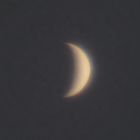 Venus am 14 07.2020