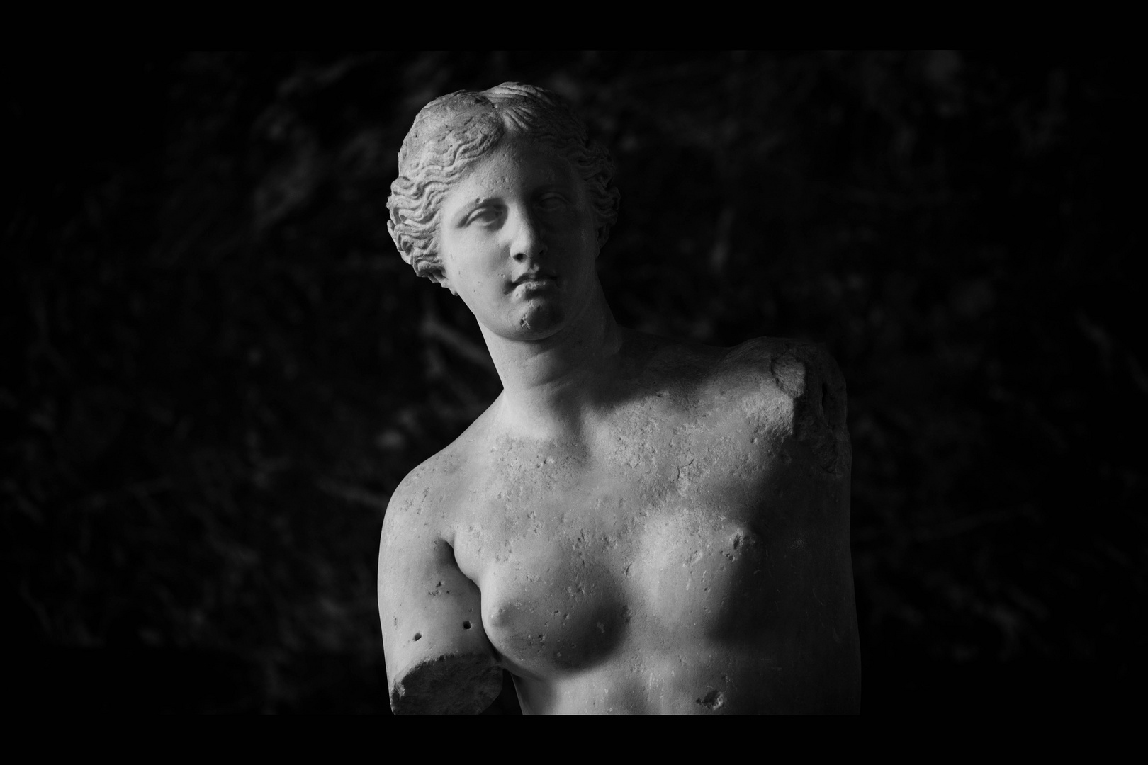 Venus de Milos / Musée du Louvres