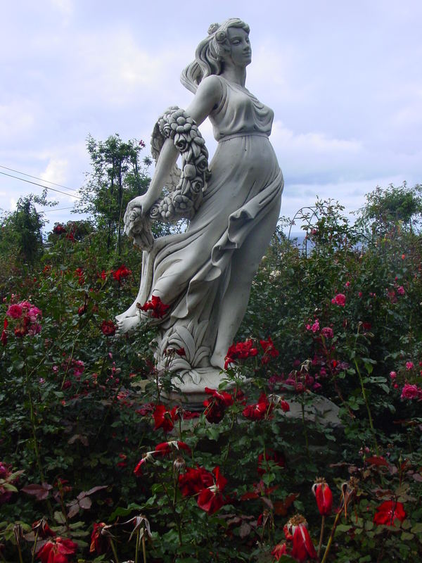Venus im Rosengarten