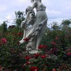 Venus im Rosengarten