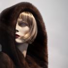 venus in furs