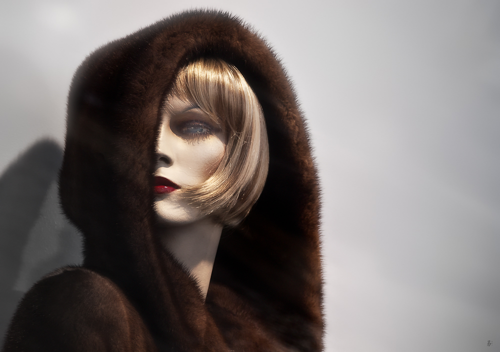 venus in furs