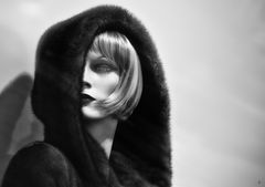 venus in furs