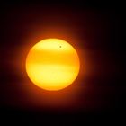 Venus-Transit