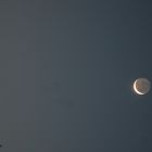 Venus und Mondsichel