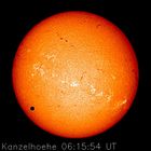 venustransit