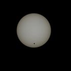 Venustransit