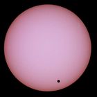 Venustransit