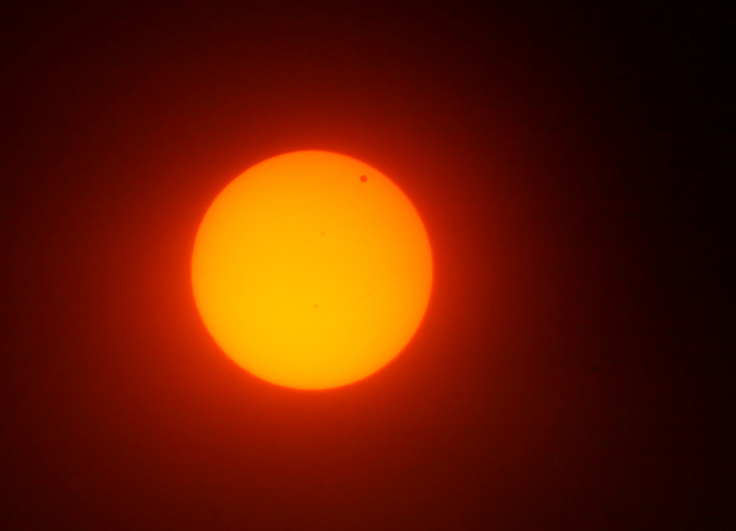 Venustransit