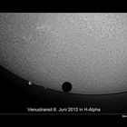 Venustransit in H-Alpha