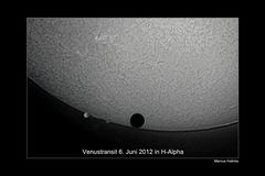 Venustransit in H-Alpha