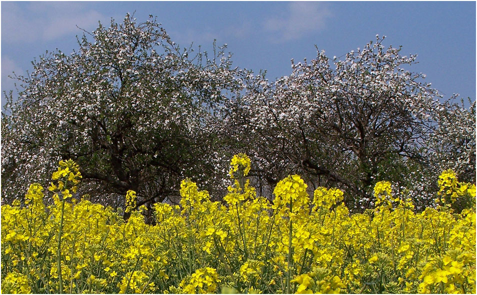 Verabredung der Natur