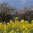 Verabredung der Natur