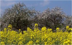 Verabredung der Natur