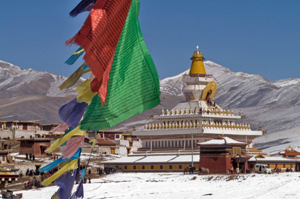 Verabredung mit dem Leben Foto & Bild asia, tibet, east asia Bilder