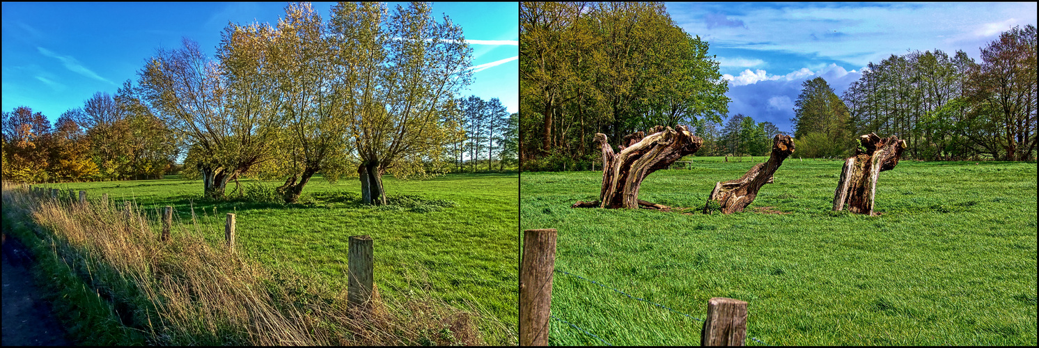 Verändertes Naturbild