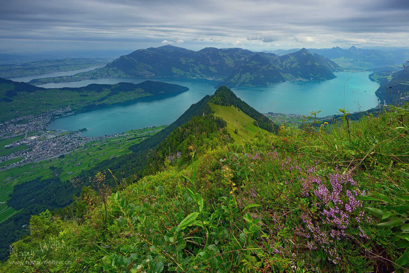 Verästelter Vierwaldstättersee