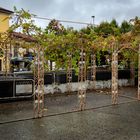 Veranda sul Lambro, Monza