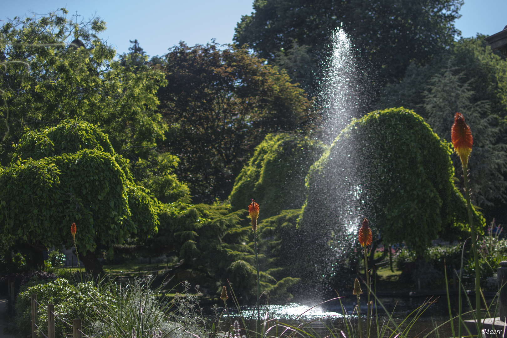 Verano en el parque