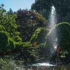 Verano en el parque