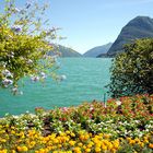 Verano en Lago Maggiore