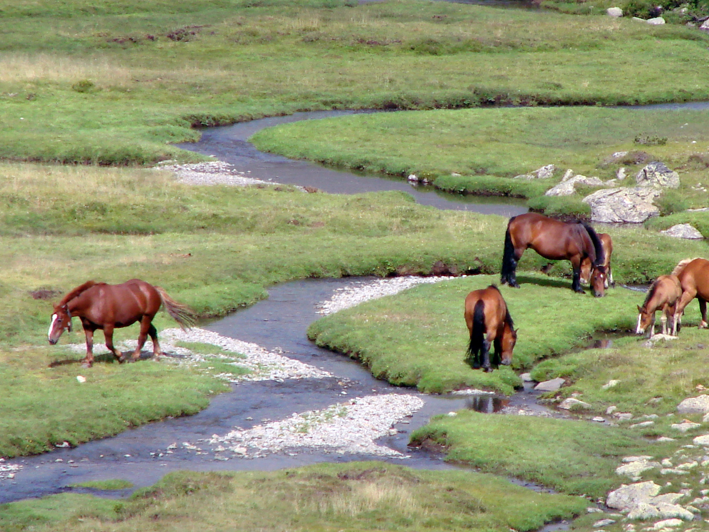 Verano en Ordino