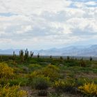 Verano. Valle Calchaquí