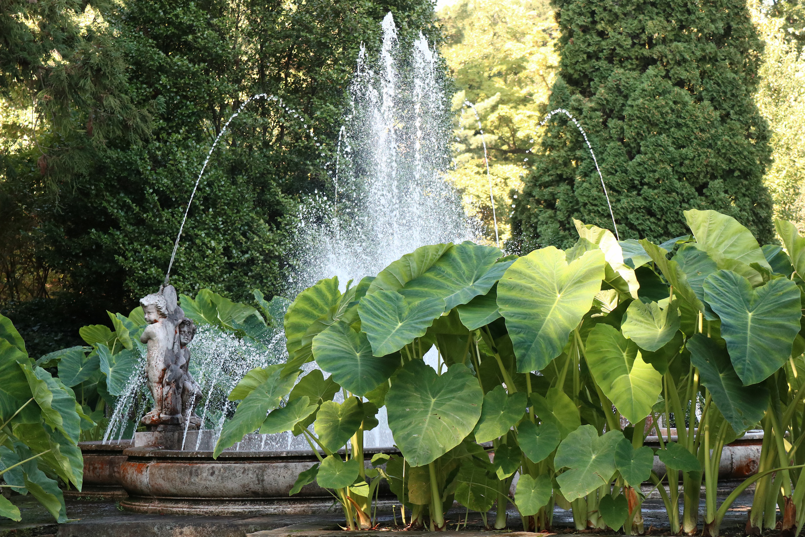 Verbania Botanischer Garten