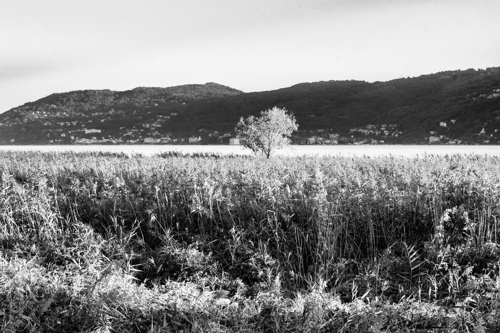 Verbania, fondo toce