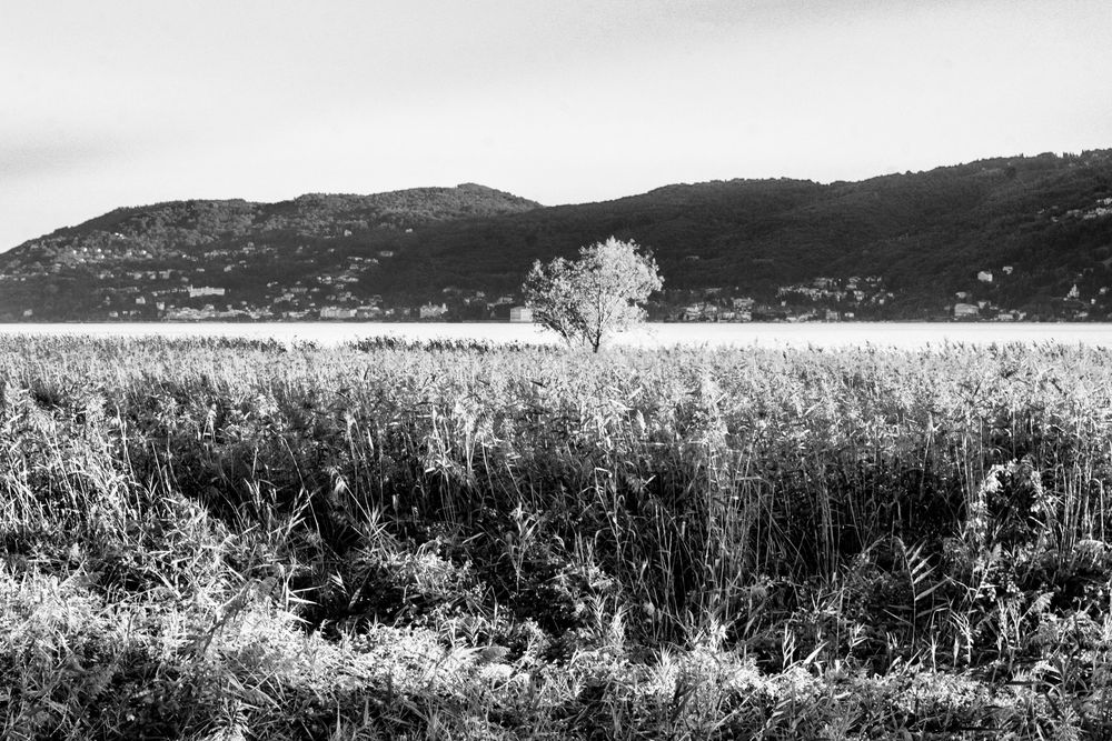 Verbania, fondo toce