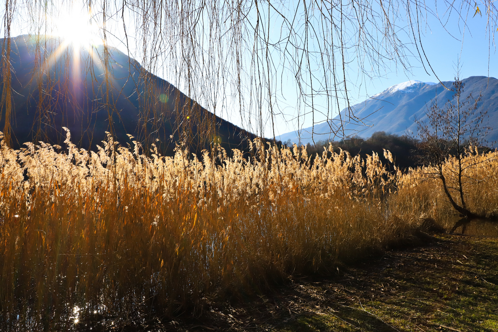 Verbania Wintersonne